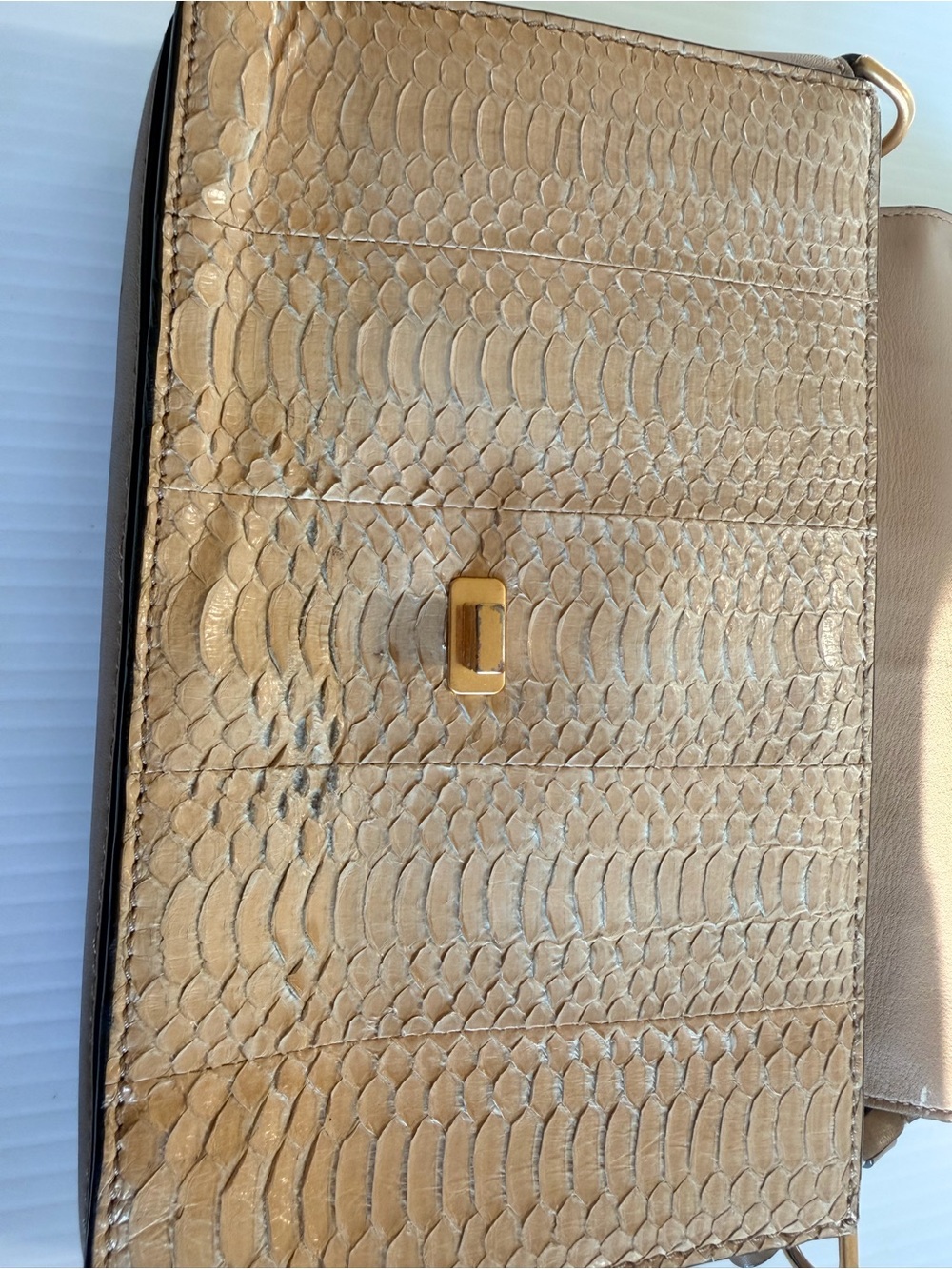 Tory Burch Tan Python-Embossed Shoulder Bag with Dark green Chain Strap - Picture 14 of 16